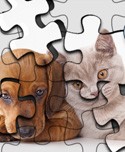 Cats Vs Dogs Puzzle